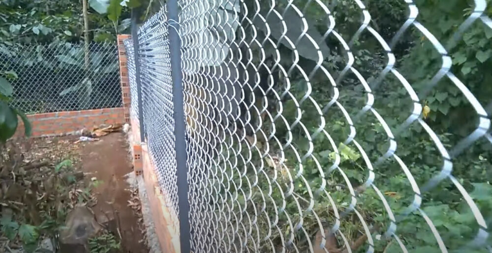 hàng rào lưới b40 